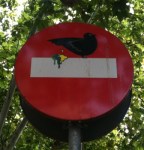 La naturaleza siempre acaba imponiéndose a la intolerancia