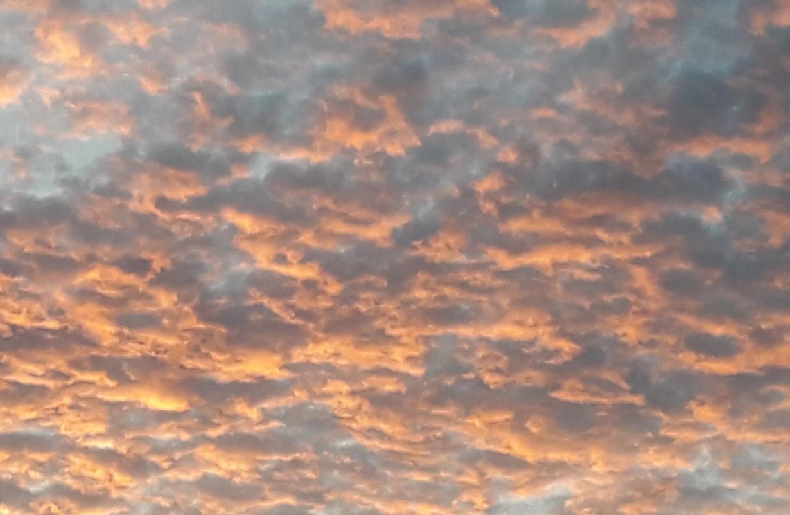 2020-05-02 El día se abre paso