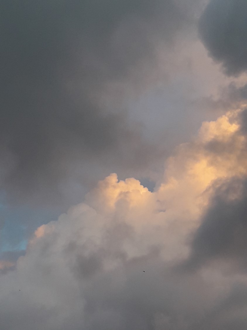 2020-05-02 El final del túnel