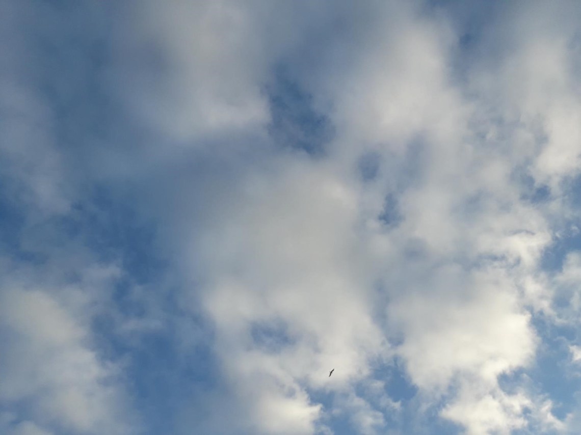 2020-05-02 Inmensidad